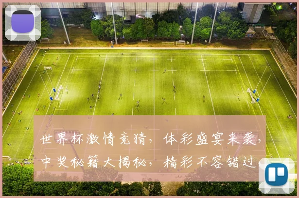世界杯激情竞猜，体彩盛宴来袭，中奖秘籍大揭秘，精彩不容错过，快来挑战